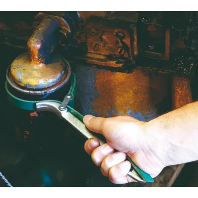 عرض الصورة 2